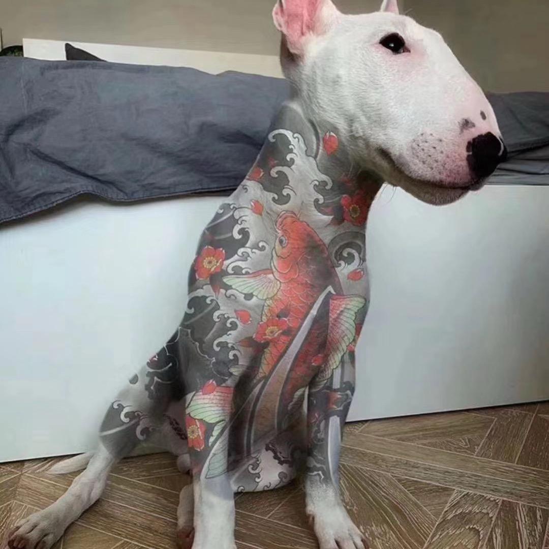 宝儿