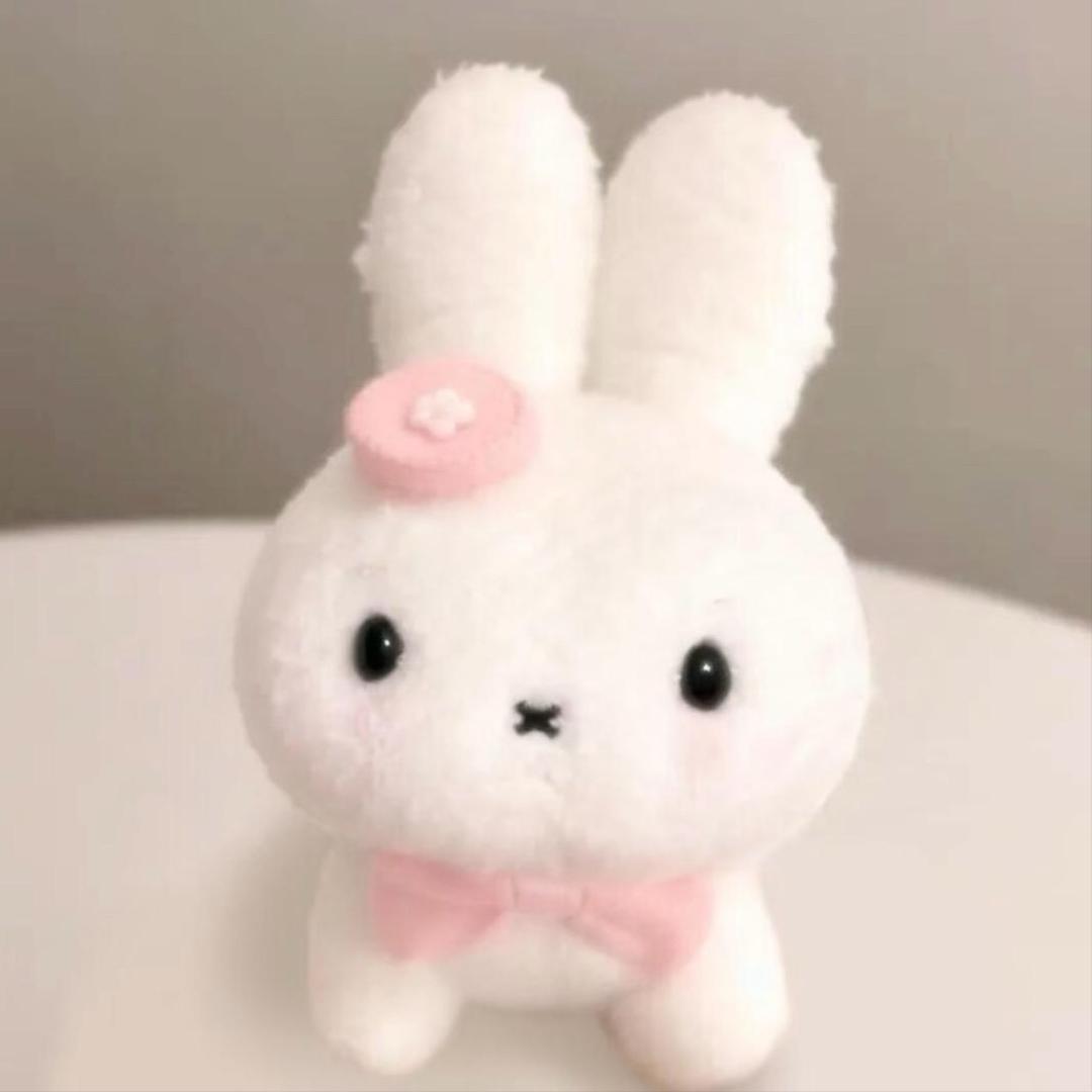小石子儿