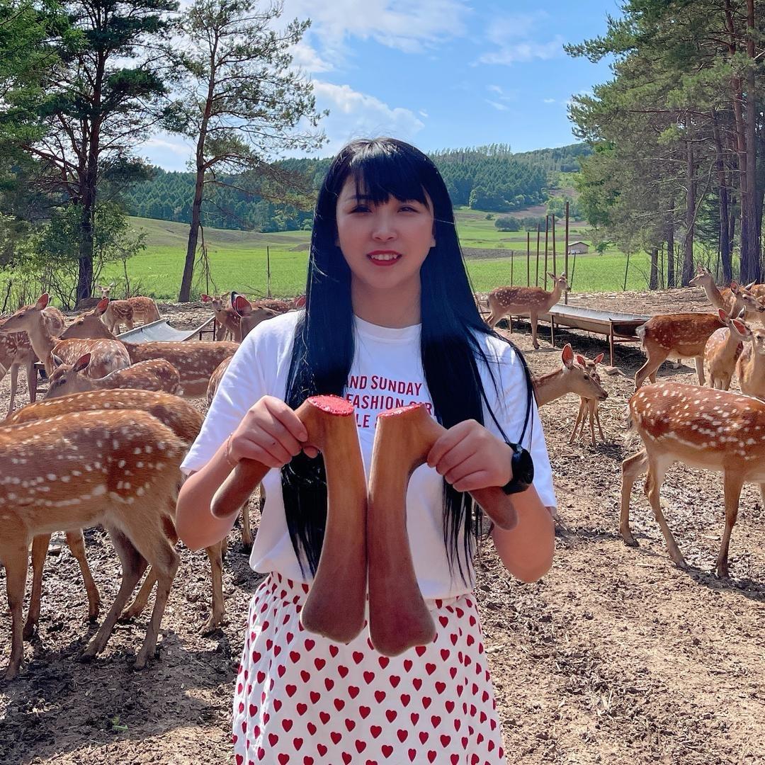 鹿林参森滋补店