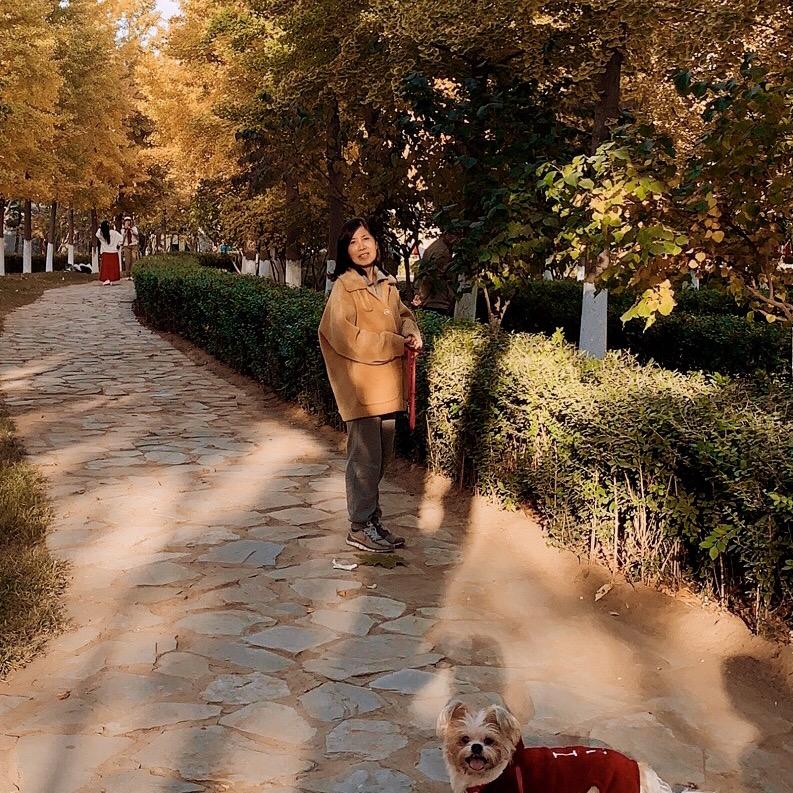 芳草华