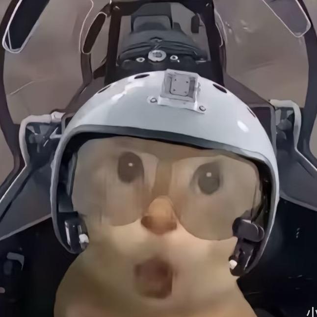 猫meme小剧场