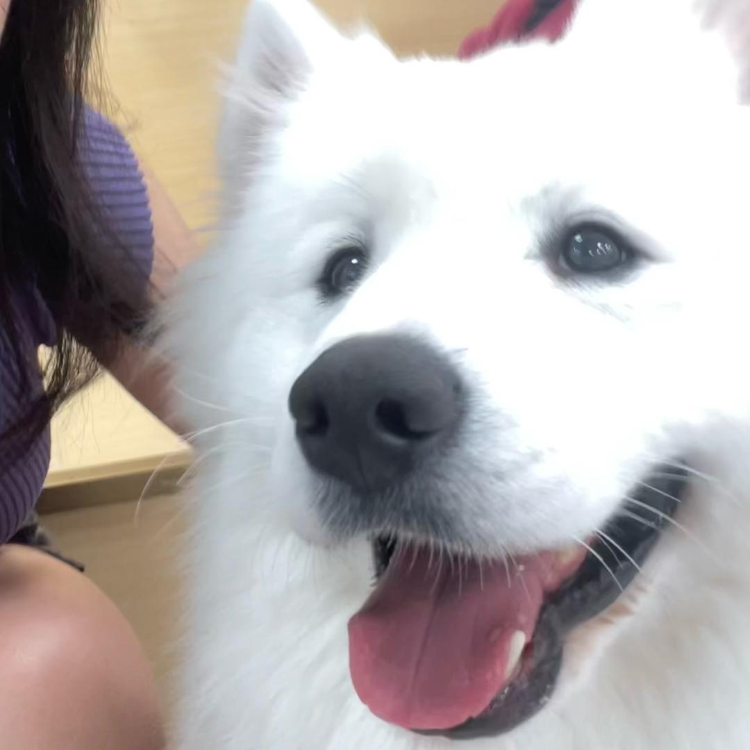 惟七.（想念😭