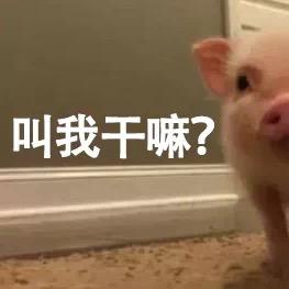 惠州市荣鑫参茸有限公司