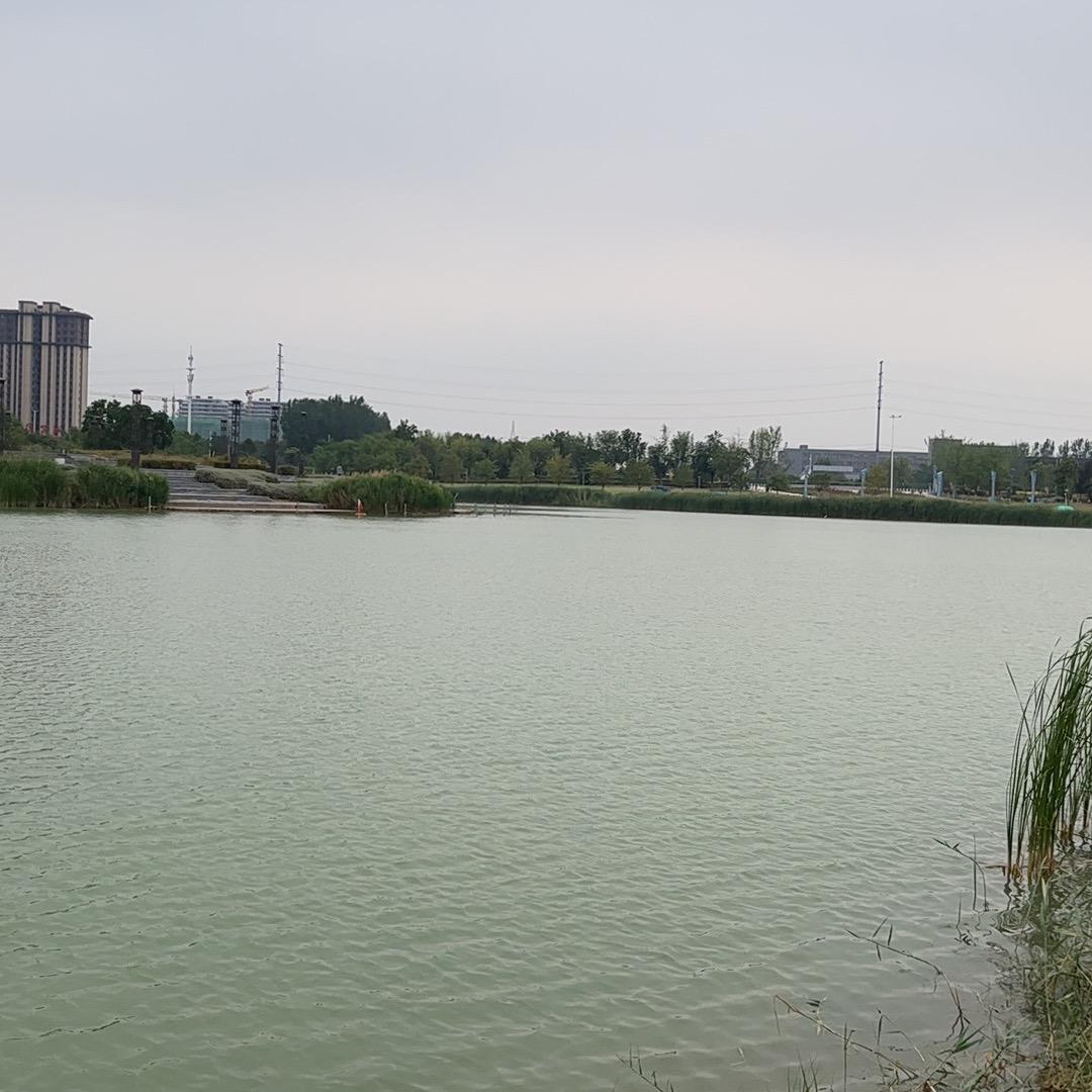 🍀若如初