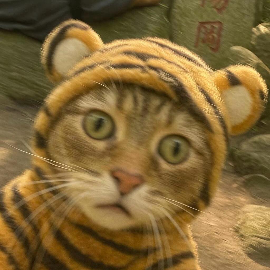 ⸝ဗီူ⸜⸝ဗီူ⸜