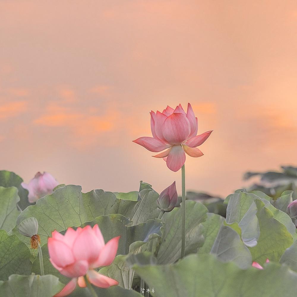 ʚ🐷ིྀ🧸ྀིɞ