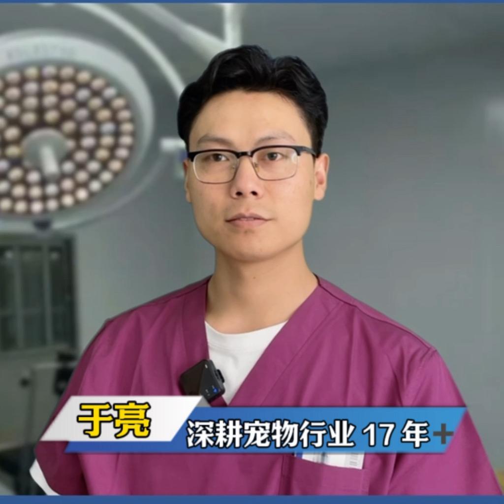 宠物问题咨询•于亮