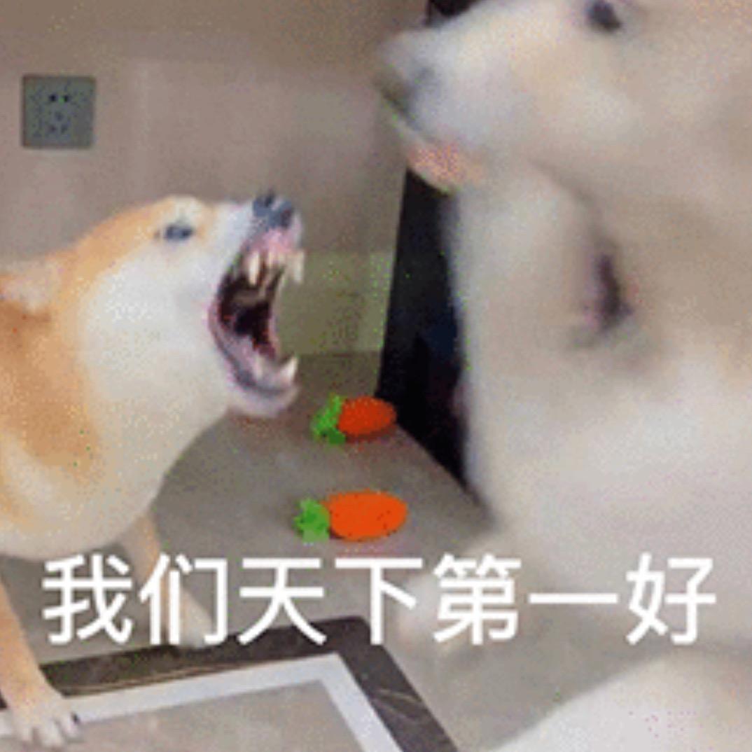晴东东东_