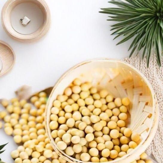 凉山全智豆制品厂