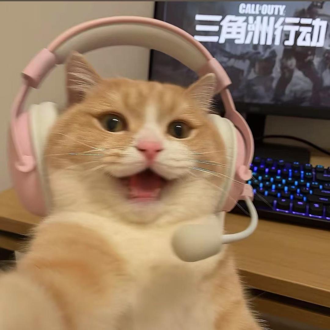 小凤梨