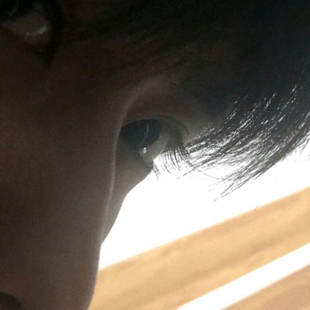 傻睿