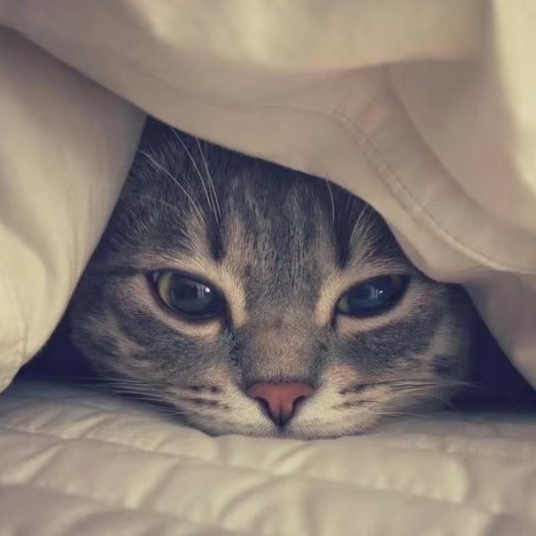 你视奸我其实是暗恋我吧