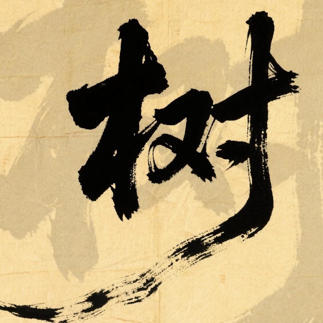 树立商贸