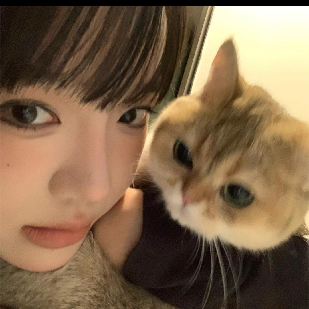 不止看海
