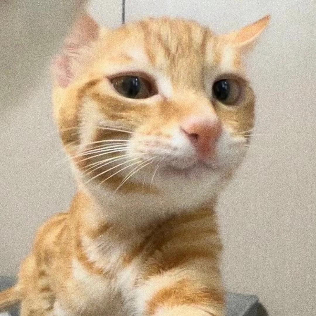 早上爱吃屎