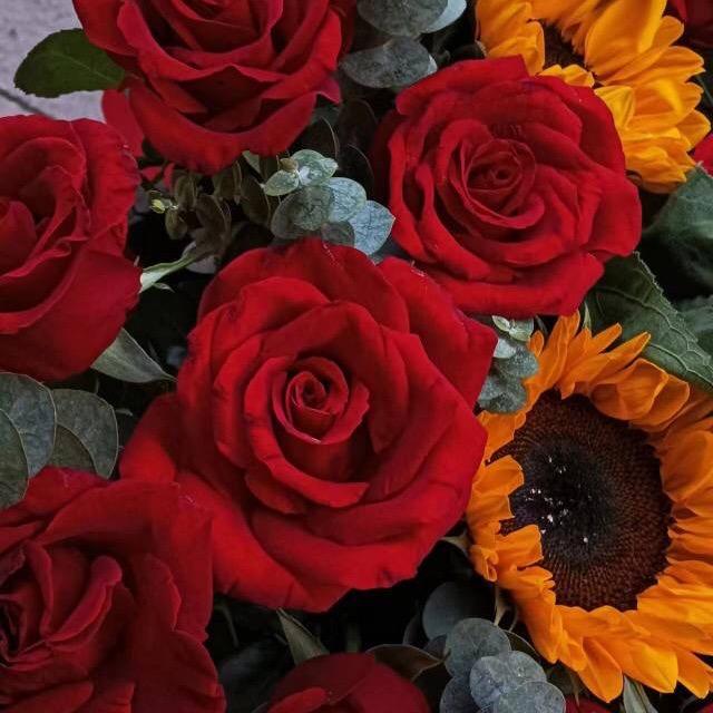 开开心心过好每一天。