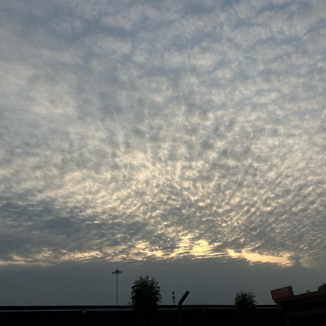 悦悦～《优选好物》