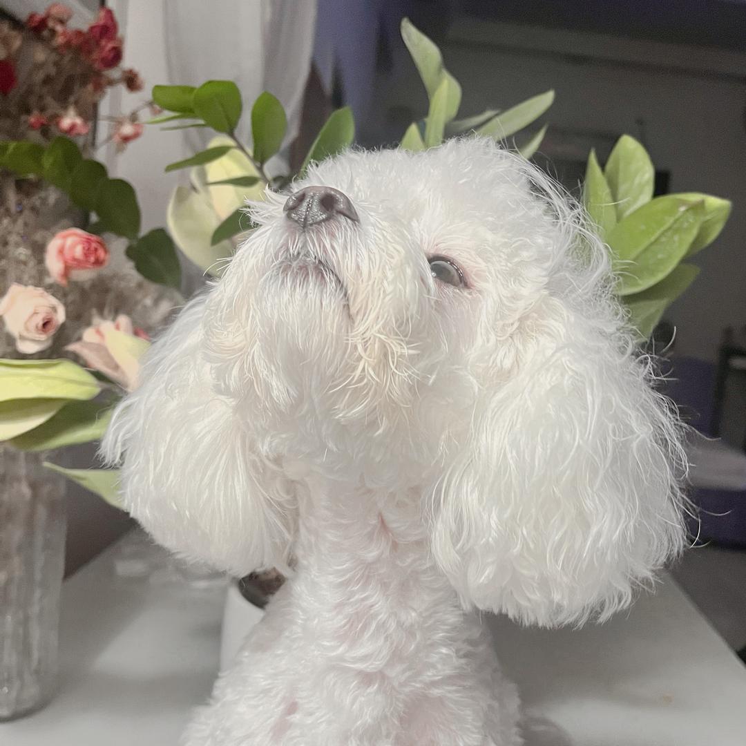 爱吃蓝莓🫐卷卷仔