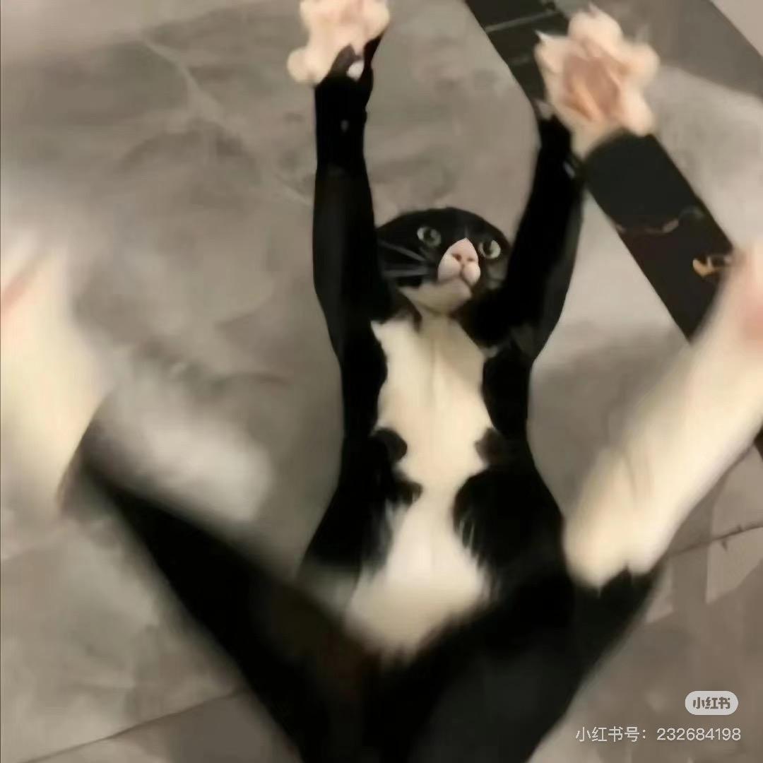 小井