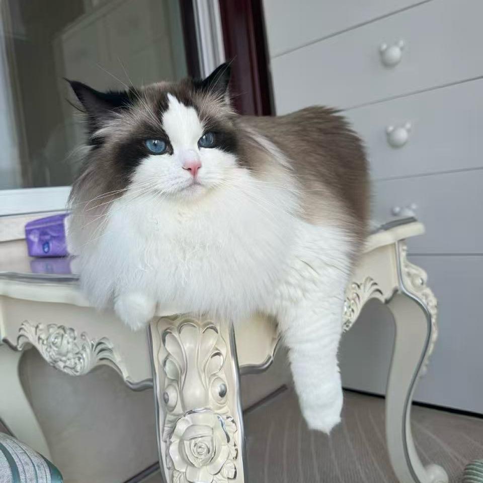 潘星宇 SKY✊🌟💦