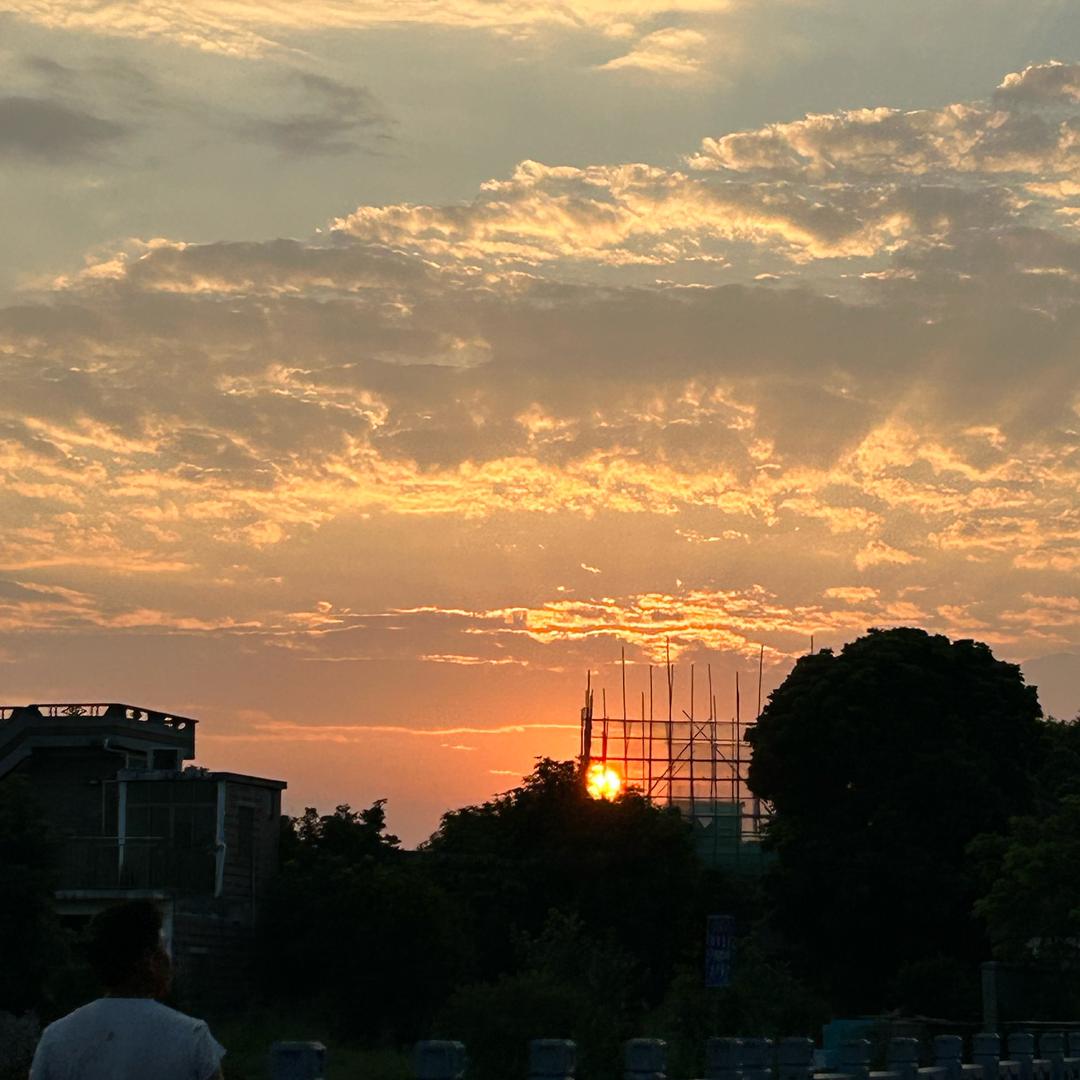 小丑鱼不丑（不想当护士版）