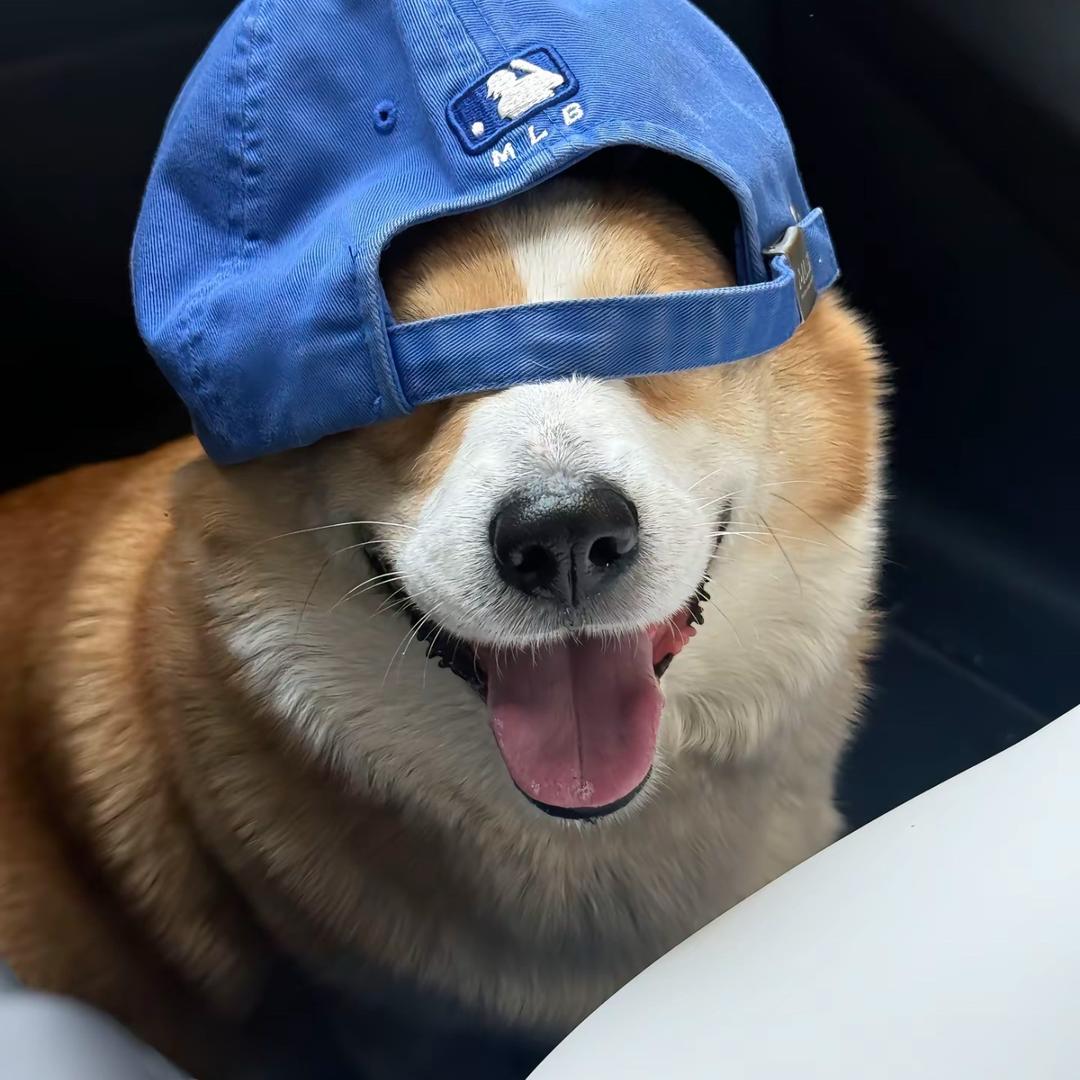 十进制