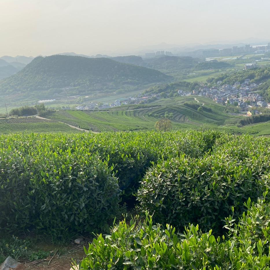 背时钱硬是不经用