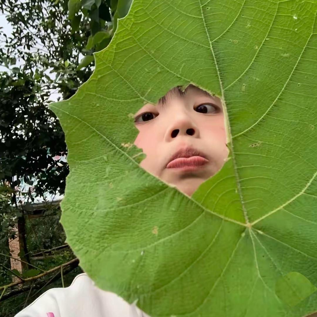 窝笨总被钓