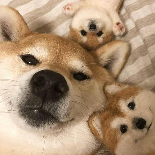 信仰China