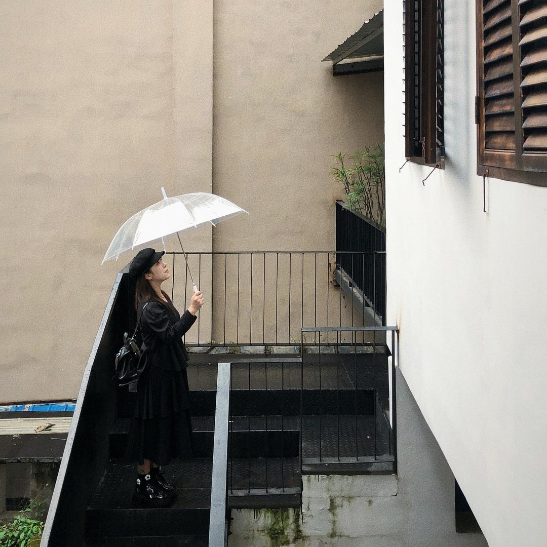 野似温柔猫🍃
