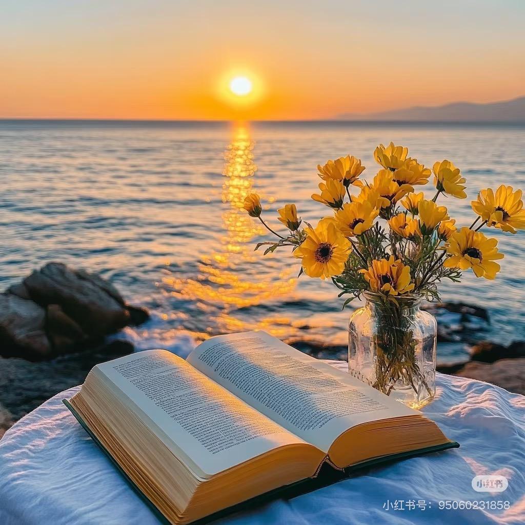 🫆🫆🦋💎🫆🫆