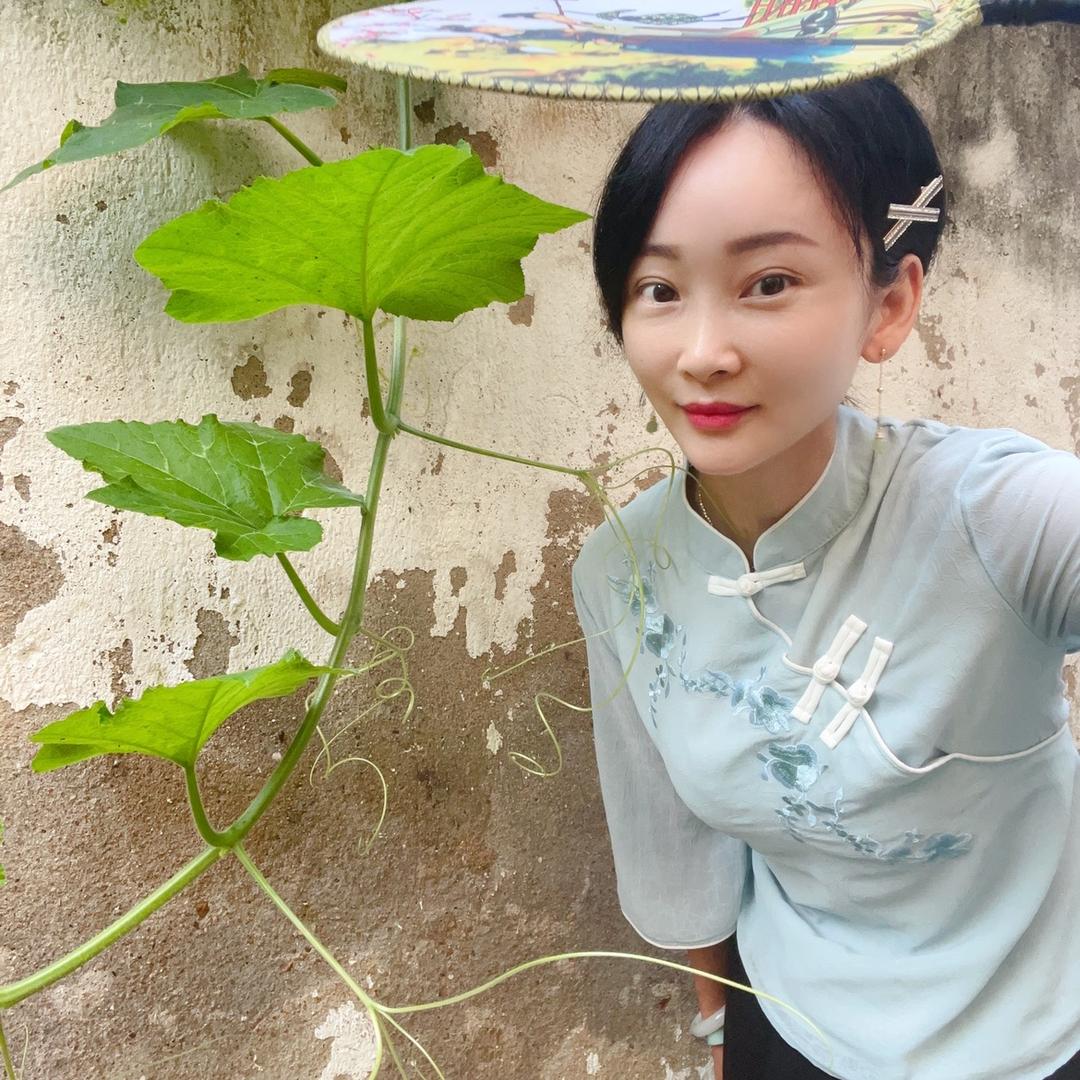 芸☁️菲