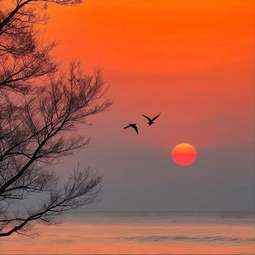 人生如逆旅我亦是行人