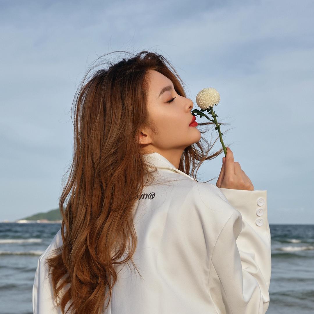 迅猛龙龙