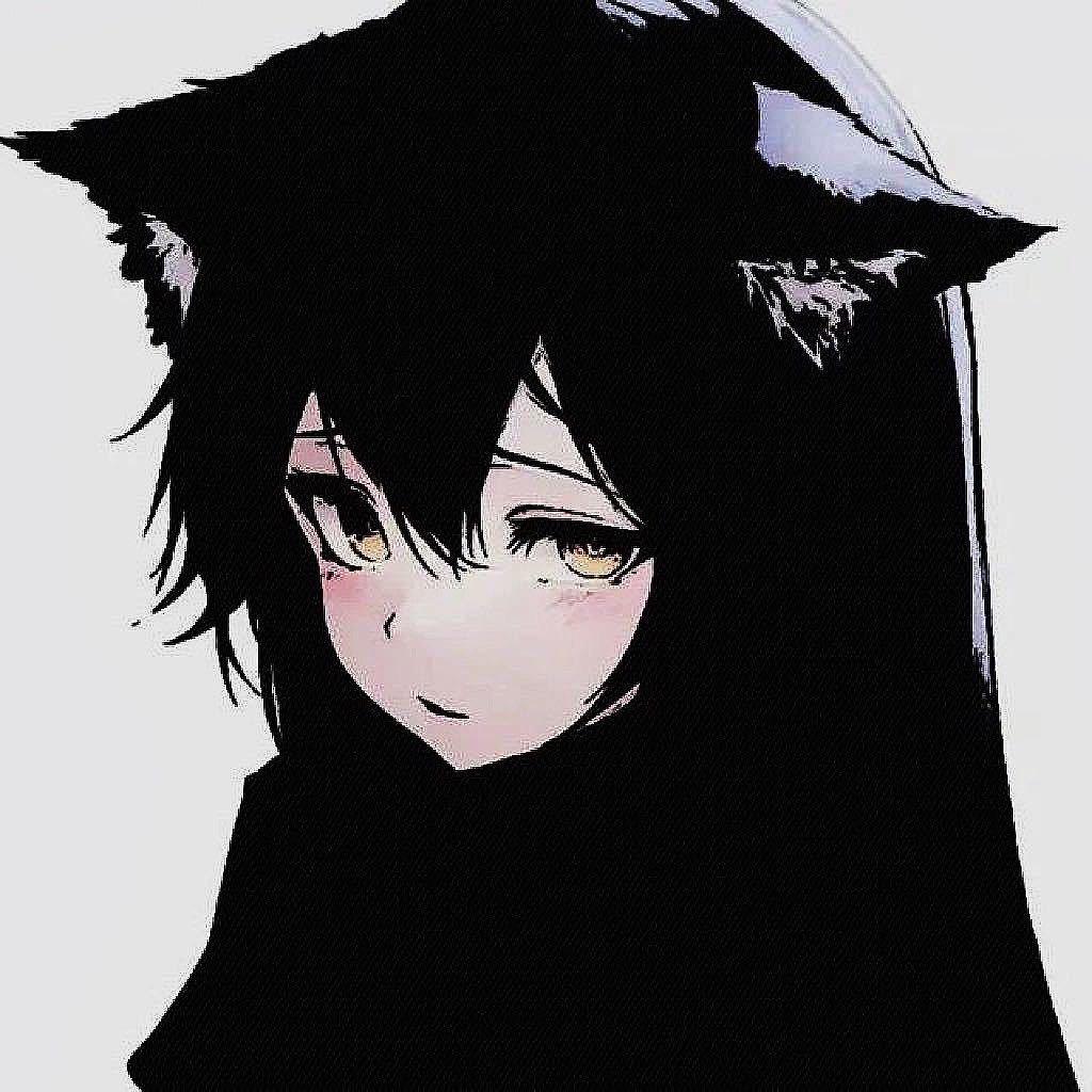 Guaiai-