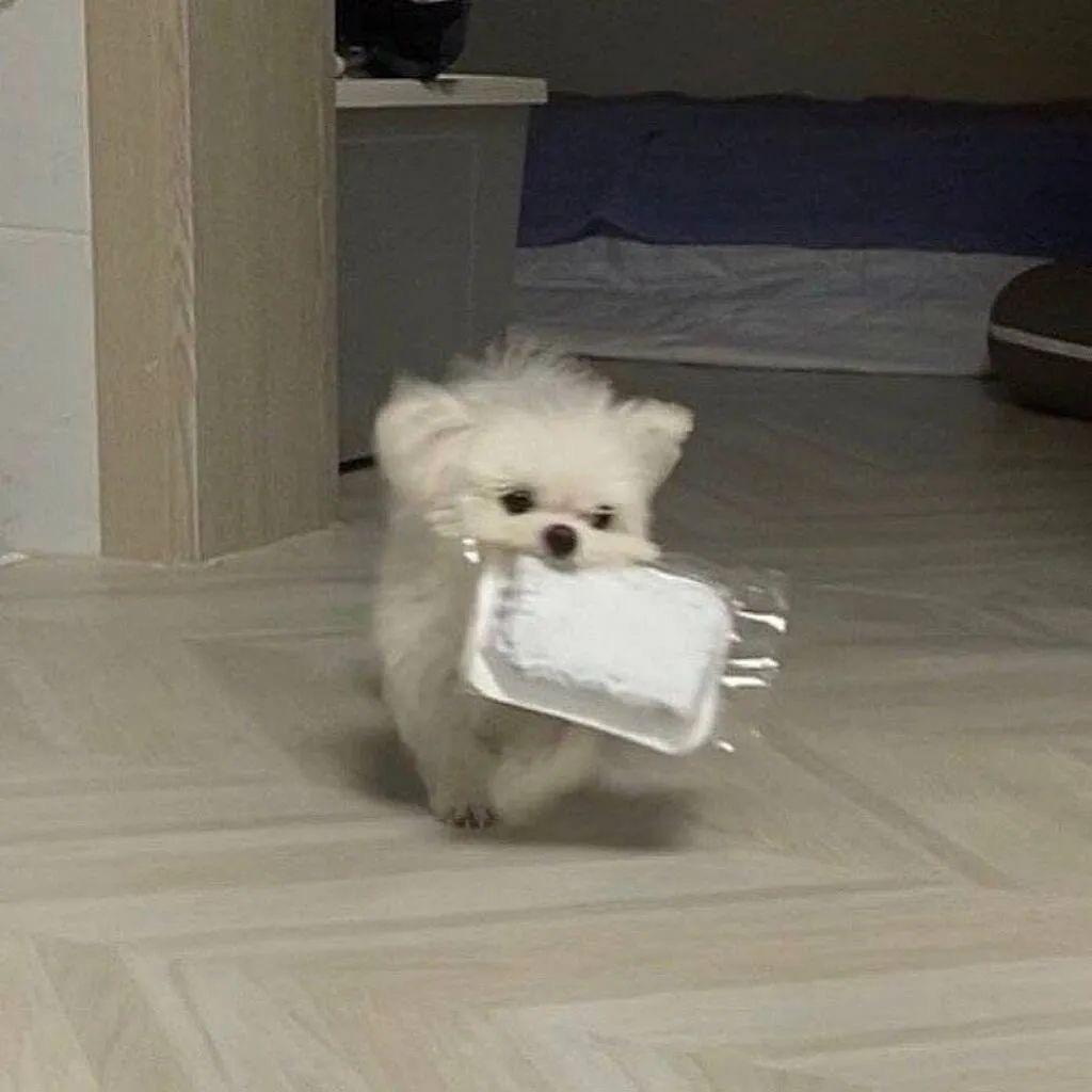 今天吃饱了吗？