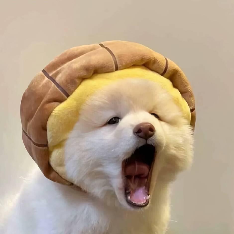 杨锦