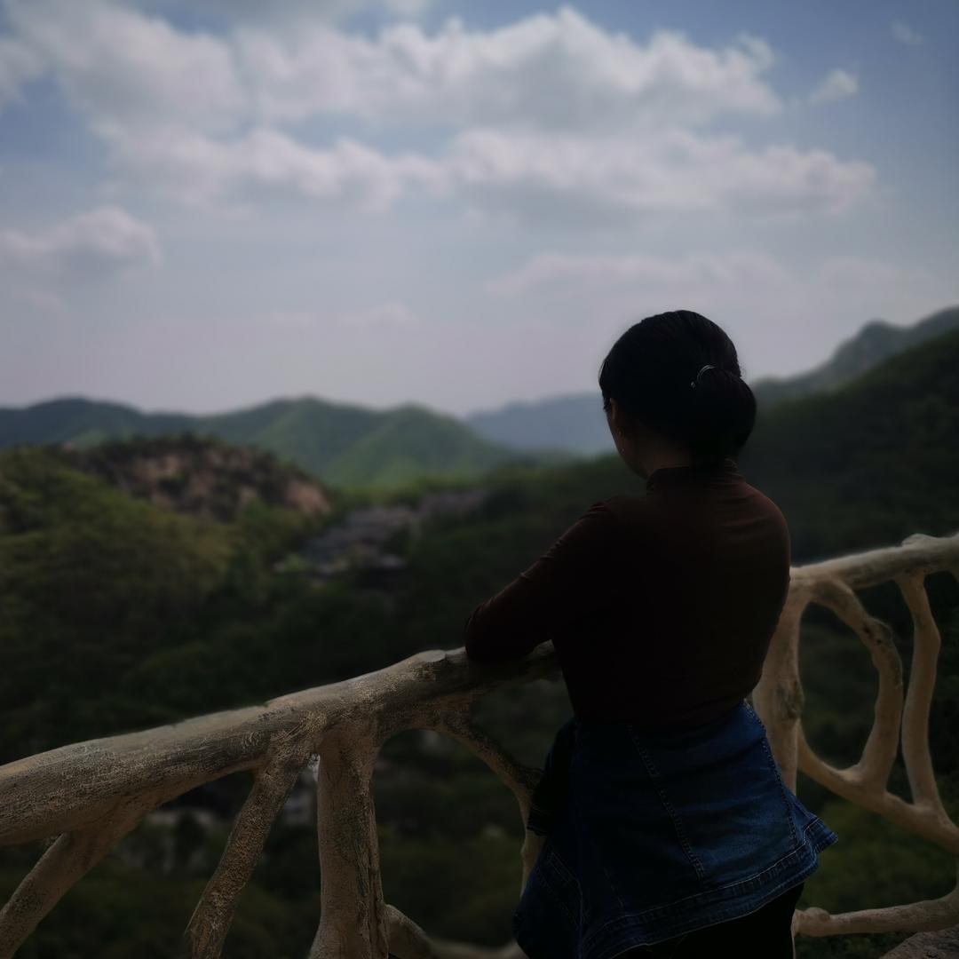 咪丝董