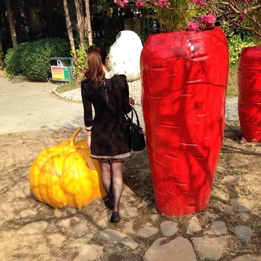 随遇而安～～