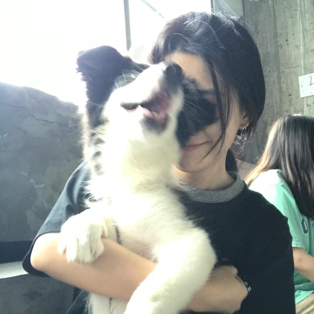 有棵无忧树