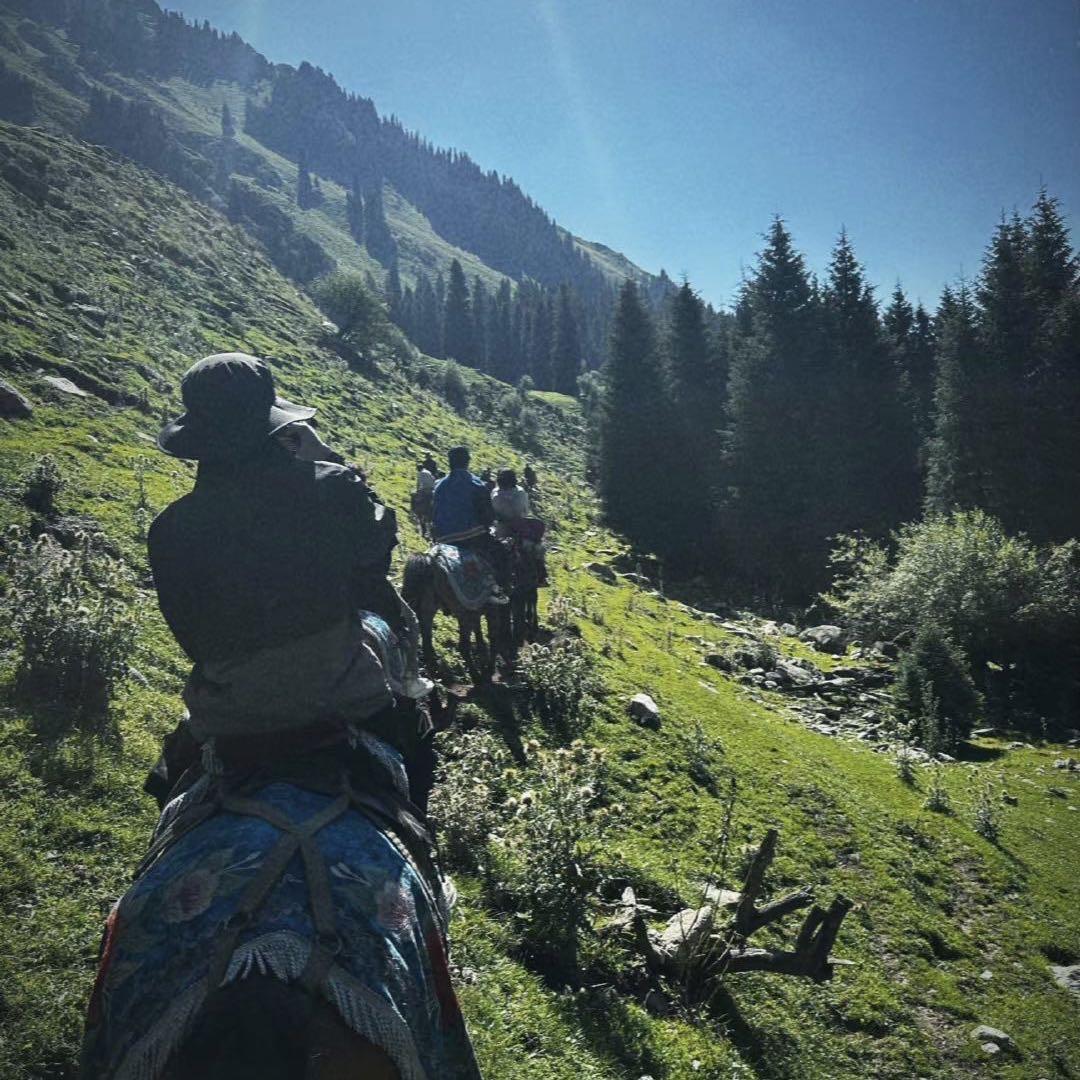 太白湖的馒头铺