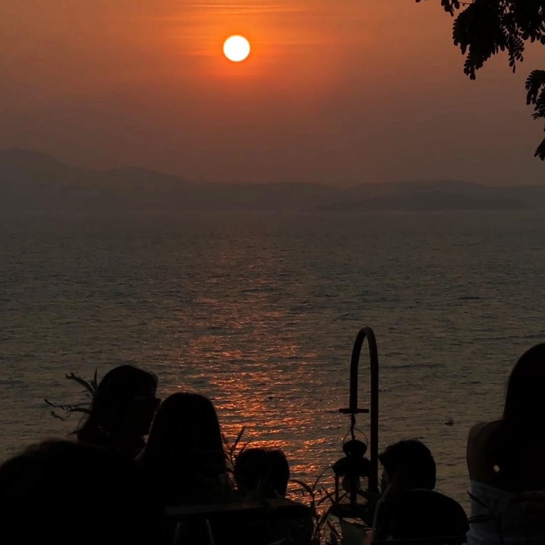 ㅤㅤ ㅤㅤ ㅤㅤ