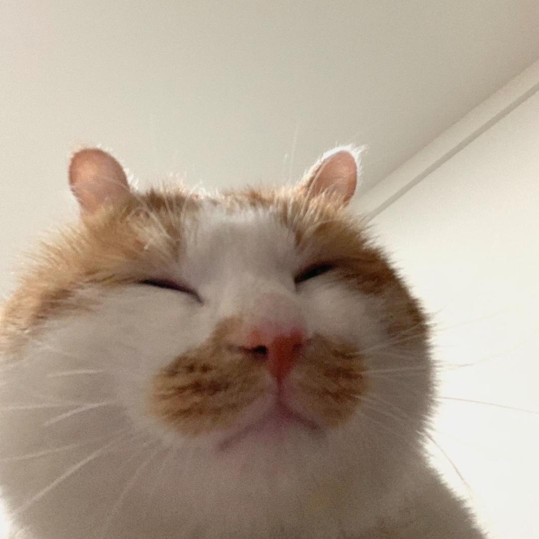 in