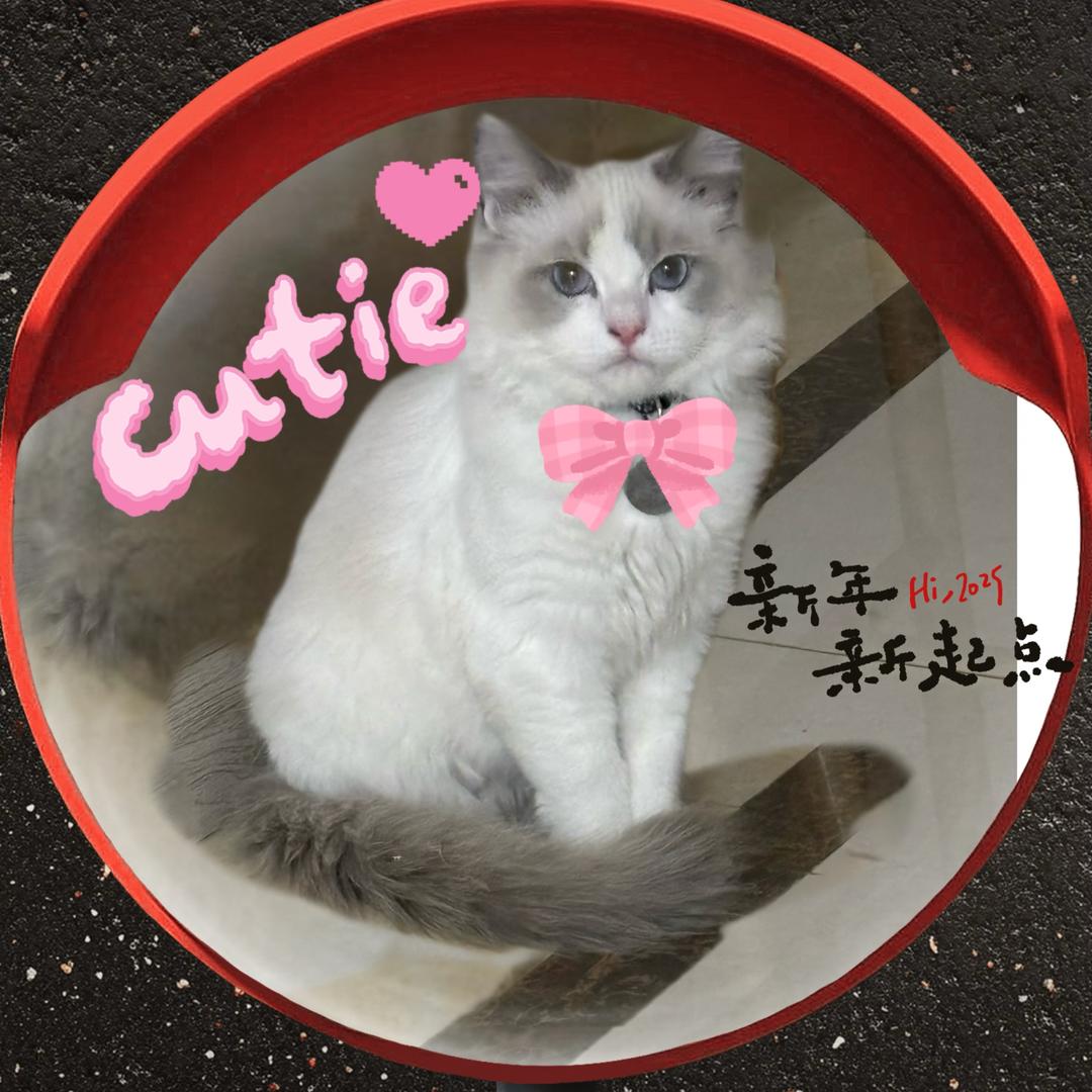豆包是只喵🐱