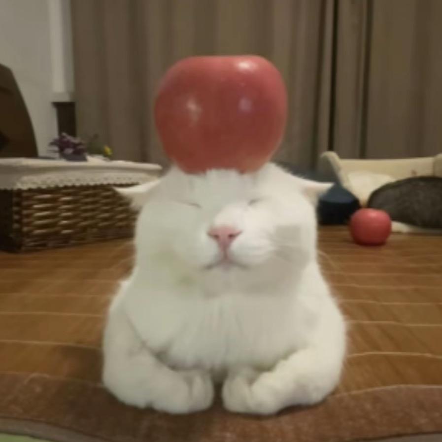 还差得远呢