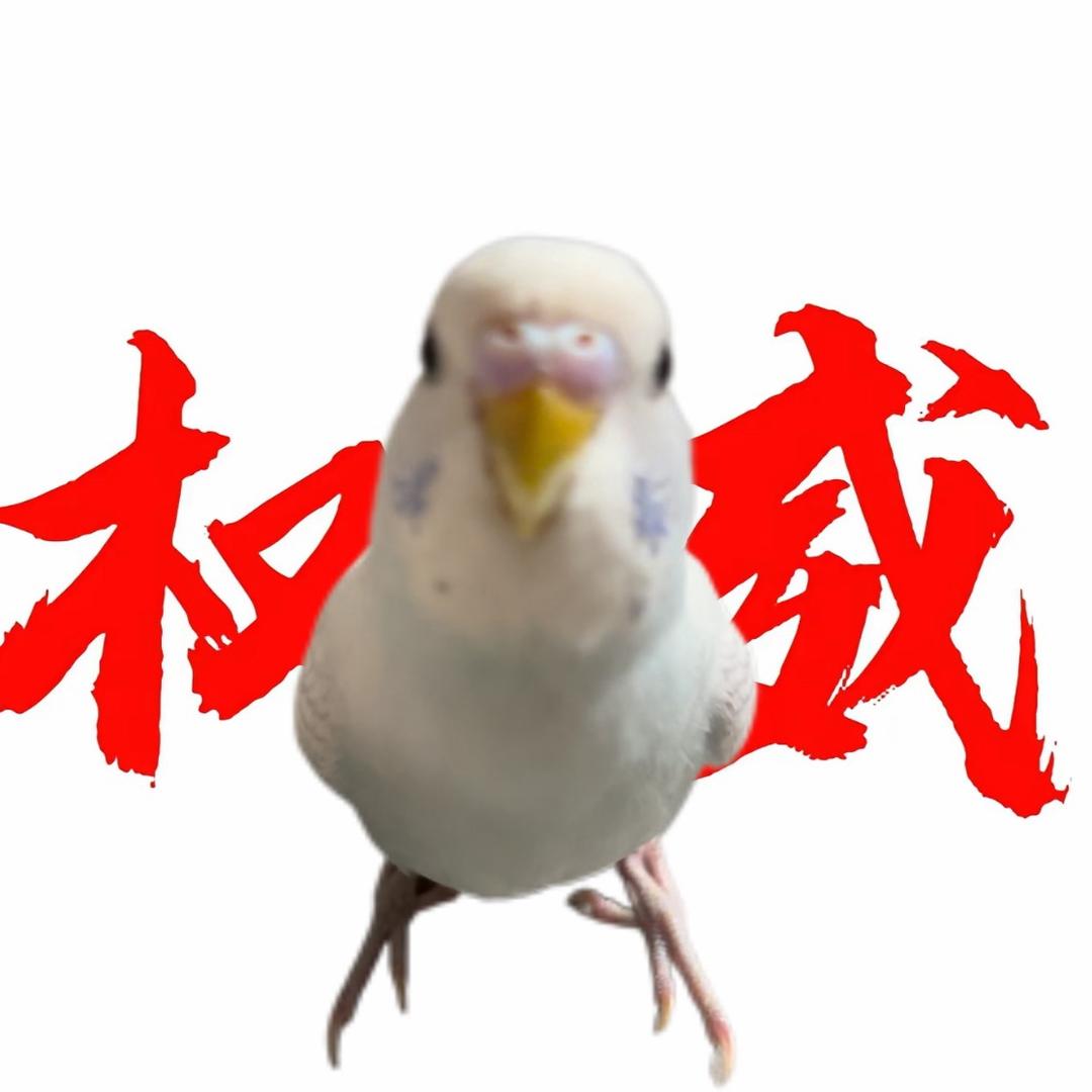 小馒头^o^