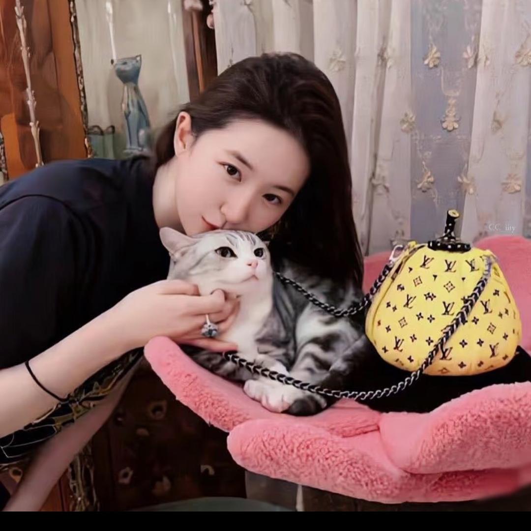 鼎阳小彤