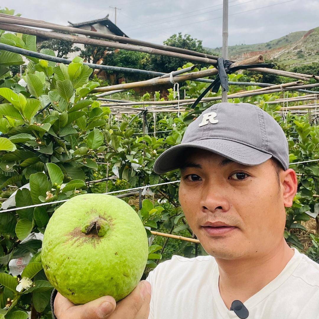 一生甜果业【方脸芒果大叔】