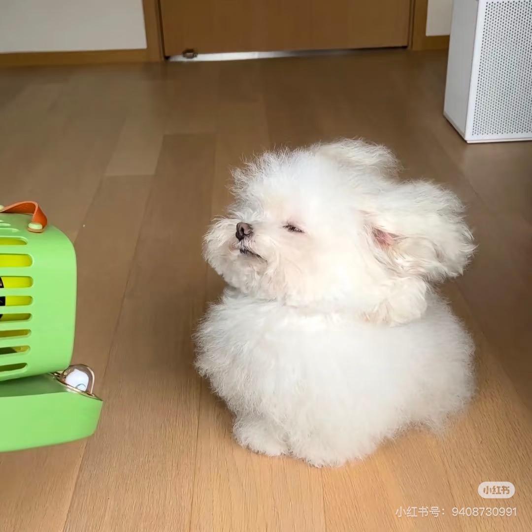 就吃¹小口🍔