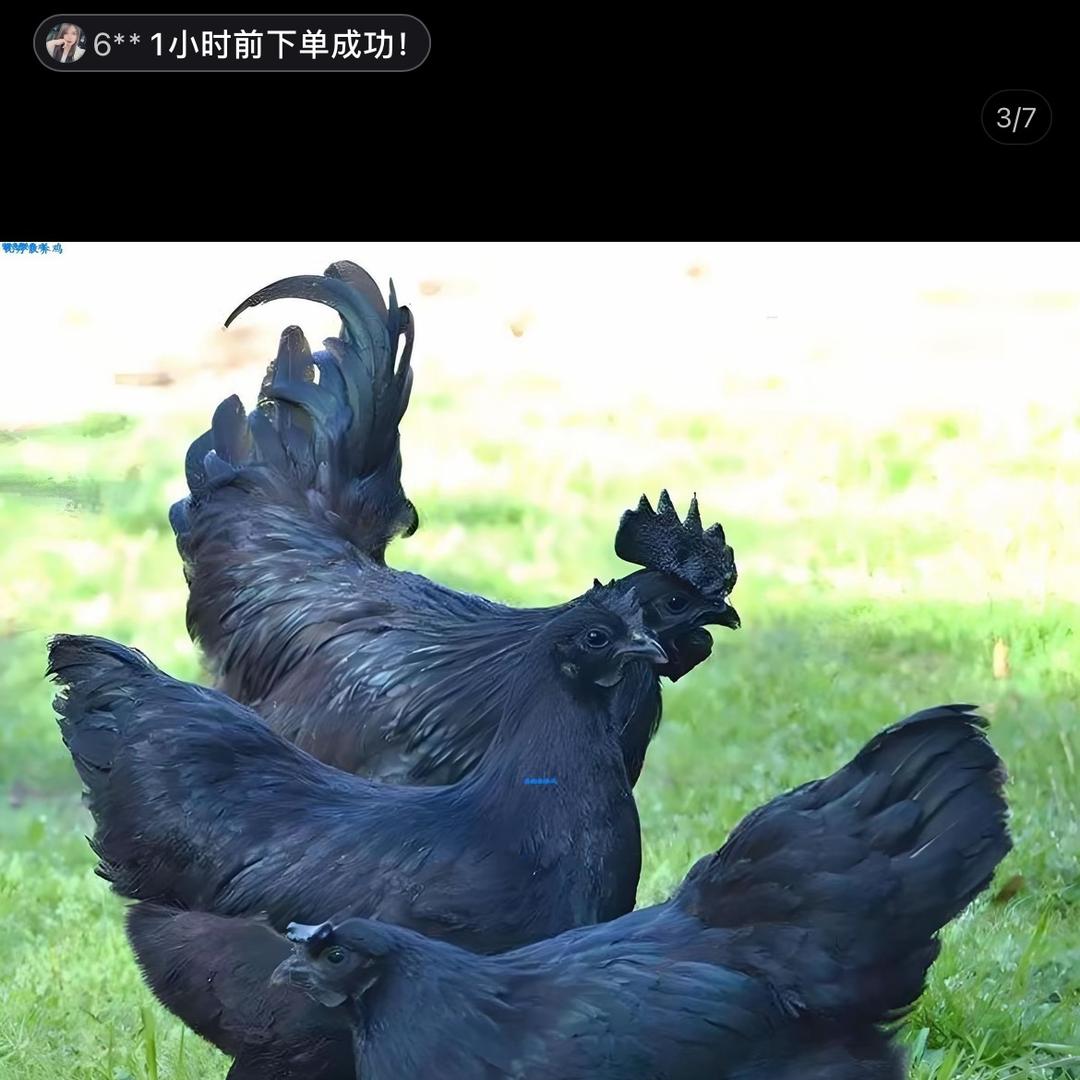 杜鲜生工厂店